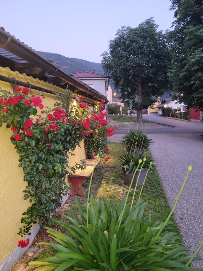 Pension & Ferienwohnung Dullnig Gmünd Εξωτερικό φωτογραφία